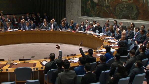 Совбез ООН отклонил российский проект резолюции России по Сирии - Sputnik Аҧсны