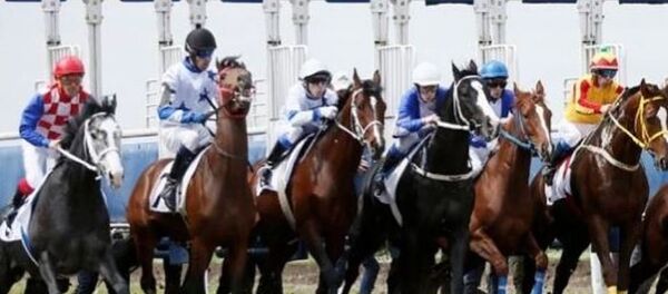 Скачки Скачки - Sputnik Абхазия