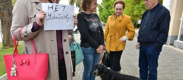Пикет против отстрела собак у администрации Сухума Пикет против отстрела собак у администрации Сухума - Sputnik Абхазия