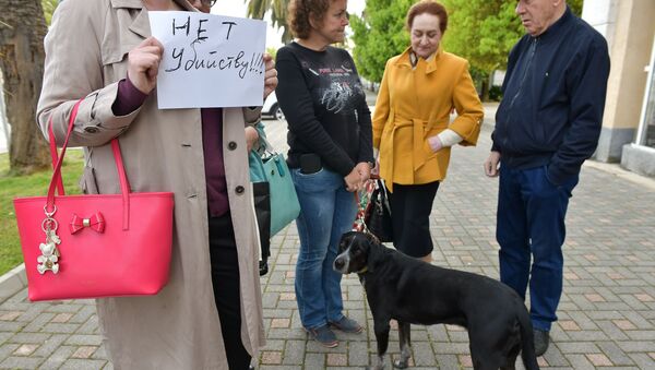 Пикет против отстрела собак у администрации Сухума - Sputnik Абхазия