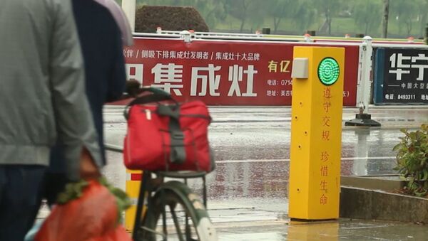 В Китае установили светофор, поливающий водой пешеходов-нарушителей - Sputnik Абхазия
