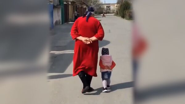 Бабушка и внучка попали на видео в Северной Осетии - Sputnik Абхазия