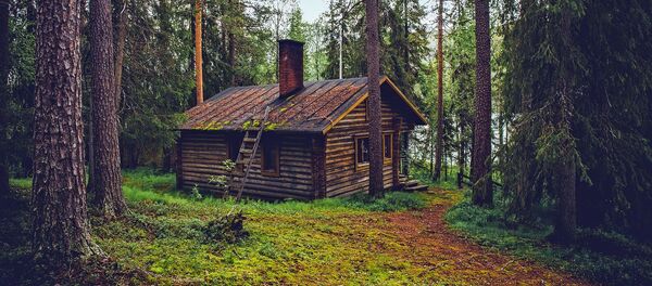 Домик в лесу в Финляндии Домик в лесу в Финляндии - Sputnik Абхазия