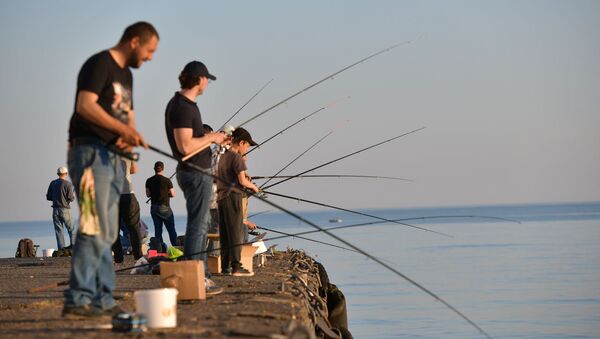 Рыбалка - Sputnik Абхазия