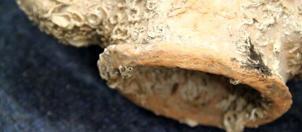 Амфоры найденные рыбаками на дне Сухумской бухты - Sputnik Абхазия