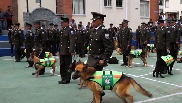 Почетные проводы полицейских собак в Эквадоре - Sputnik Абхазия