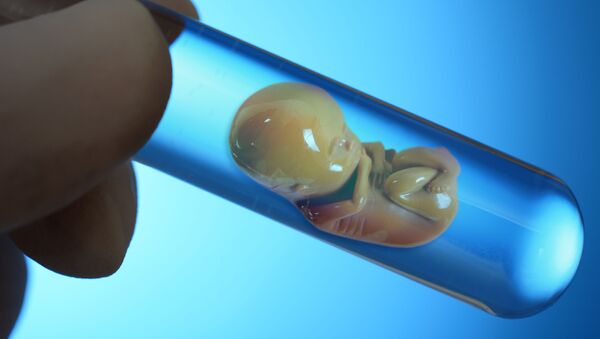 Модель эмбриона в пробирке - Sputnik Абхазия