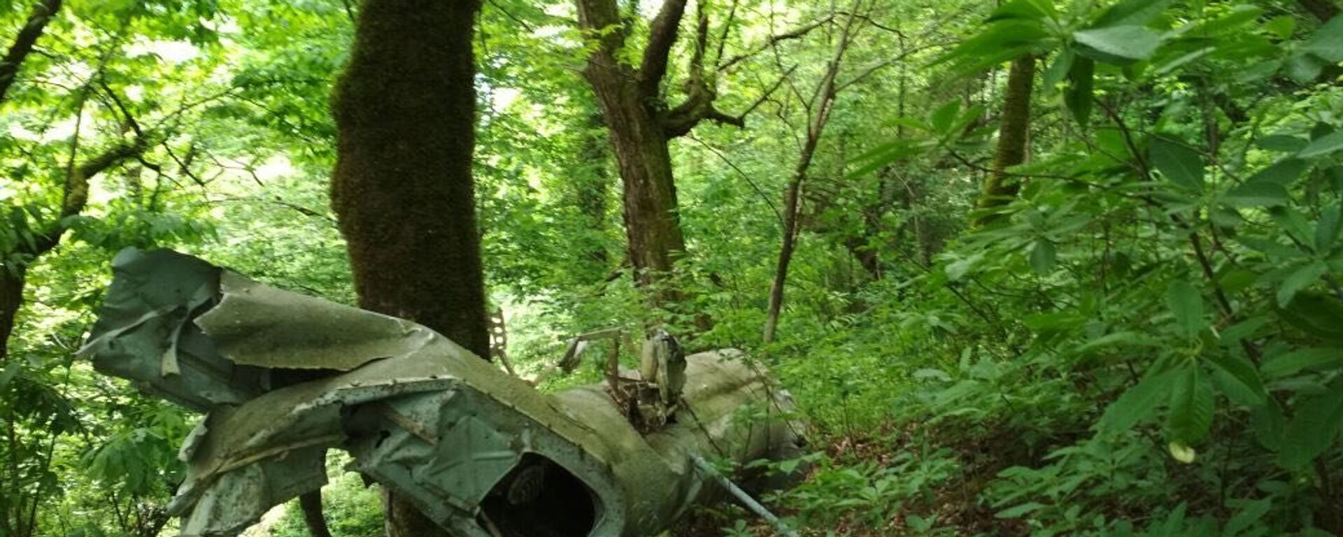 Обломки вертолета МИ-8 сбитого во время Отечественной войны народа Абхазии 1992-1993 годов в селе Лата - Sputnik Аҧсны, 1920, 14.12.2023