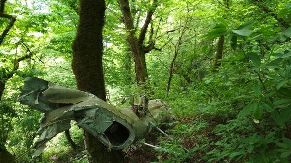 Обломки вертолета МИ-8 сбитого во время Отечественной войны народа Абхазии 1992-1993 годов в селе Лата - Sputnik Аҧсны