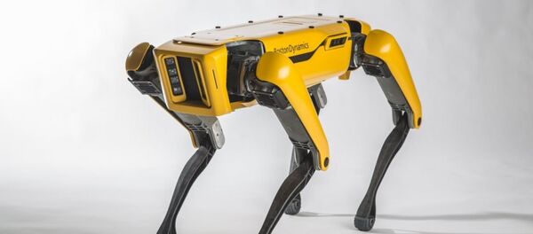 Робот SpotMini Робот SpotMini - Sputnik Абхазия