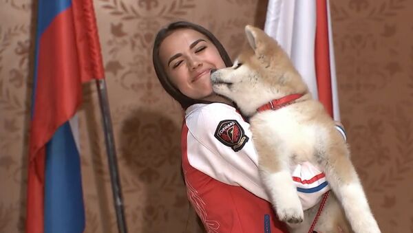 Алине Загитовой подарили щенка породы акита-ину - Sputnik Абхазия