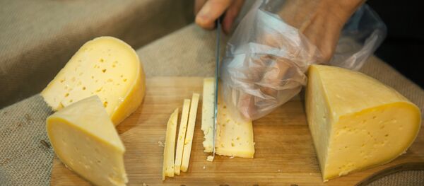 Аграрная выставка Золотая осень в Томске - Sputnik Абхазия