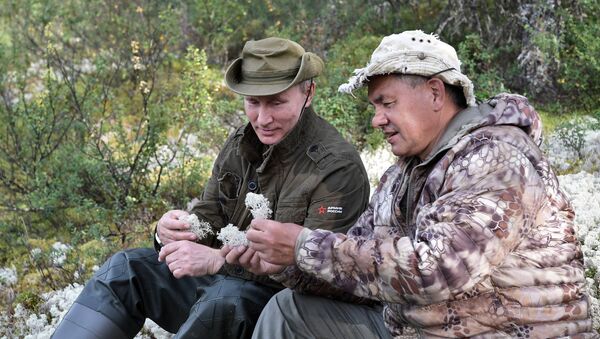 Президент РФ Владимир Путин и министр обороны РФ Сергей Шойгу (справа) во время похода по горам в Республике Тыва - Sputnik Абхазия