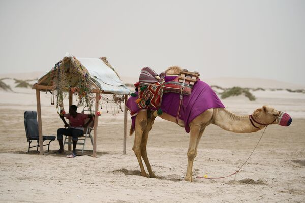Погонщик с верблюдом в пустыне Khor Al Adaid в Дохе - Sputnik Абхазия