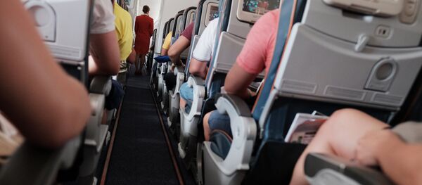 Пассажиры и бортпроводница в самолете - Sputnik Абхазия