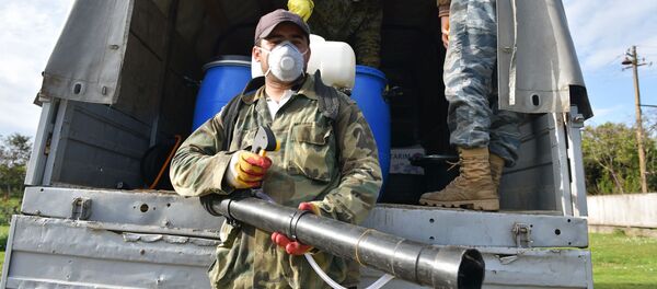 Борьба с мраморным клопом Борьба с мраморным клопом - Sputnik Абхазия