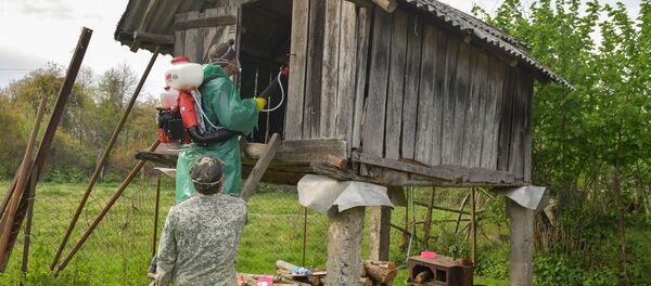 Борьба с мраморным клопом Борьба с мраморным клопом - Sputnik Абхазия