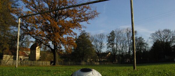 Футбольные ворота в Чехии - Sputnik Абхазия