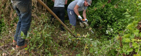 Расчистка Сухумской крепости - Sputnik Абхазия