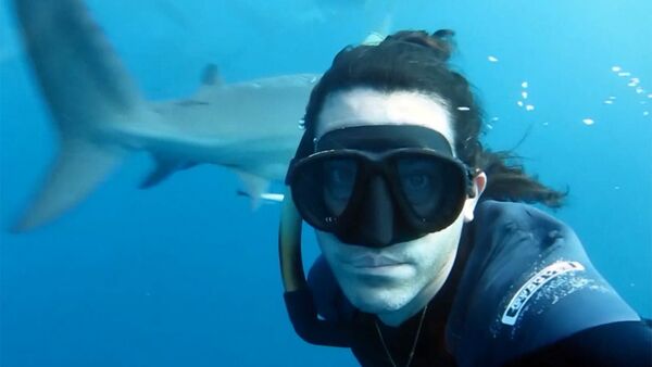 Фридайвер Брайан Руло встретился с акулами лицом к лицу - Sputnik Абхазия
