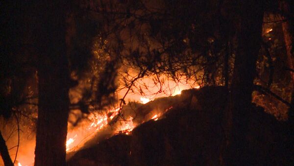 Ночное пламя: как сотрудники МЧС тушили лесной пожар в Гагре - Sputnik Абхазия