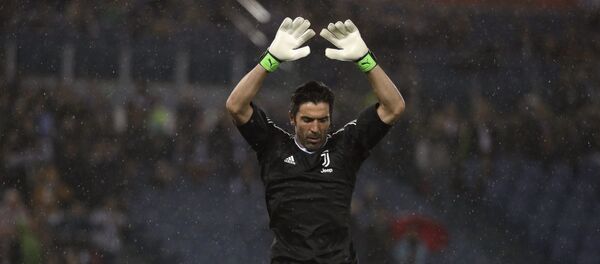 буффон - Sputnik Абхазия