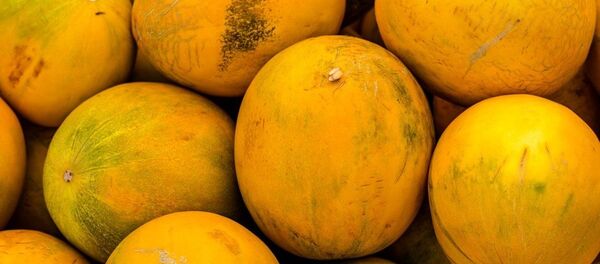 Дыня - Sputnik Абхазия