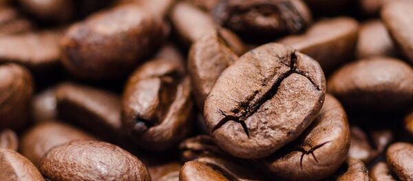 Зерна кофе  Зерна кофе  - Sputnik Абхазия