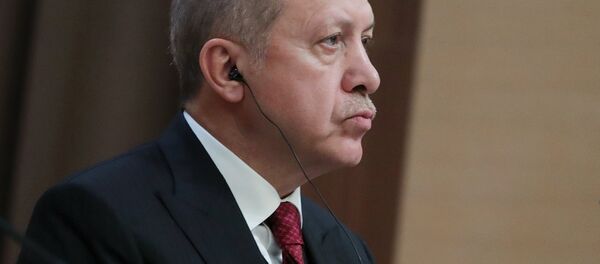 Визит президента РФ В. Путина в Турцию. День второй Визит президента РФ В. Путина в Турцию. День второй - Sputnik Абхазия