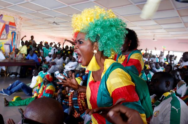 Болельщики сборной Сенегала во время матча между Японией и Сенегалом в Абиджане, Кот-д'Ивуар - Sputnik Абхазия