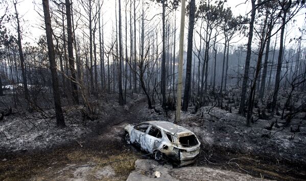 Сгоревший в лесных пожарах автомобиль в придорожной канаве, Флорида - Sputnik Абхазия