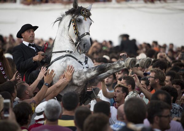 Лошадь с наездником в толпе во время традиционного праздника Сан-Хуан на Балеарском острове Менорка - Sputnik Абхазия