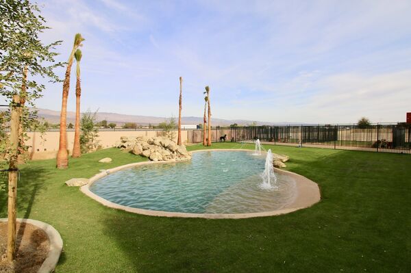 Отель для собак в Калифорнии - Sputnik Абхазия