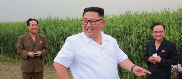 Лидер северной Кореи Ким Чен Ун Лидер северной Кореи Ким Чен Ун - Sputnik Абхазия