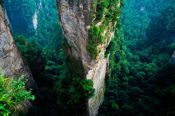 Национальный лесной парк Чжанцзяцзе в Китае - Sputnik Абхазия