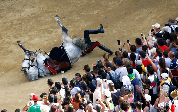 Падение итальянского карабинера с лошади во время парада перед началом лошадиных скачек Palio of Siena - Sputnik Абхазия