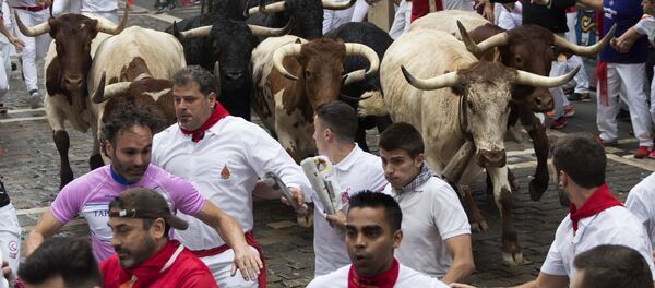 Праздник Сан-Фермин в Памплоне, Испания Праздник Сан-Фермин в Памплоне, Испания - Sputnik Абхазия