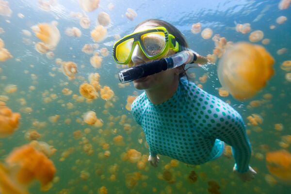 Подводное плавание в озере медуз на Палау - Sputnik Абхазия