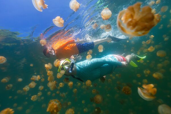 Дайверы в озере медуз на Палау - Sputnik Абхазия
