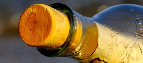 Бутылка с письмом - Sputnik Абхазия