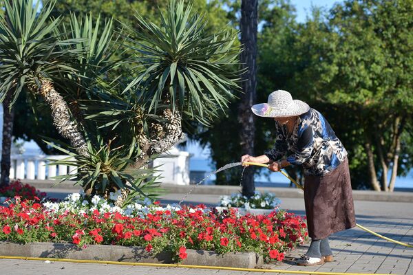 Бабушка поливает цветы на сухумской набережной - Sputnik Абхазия