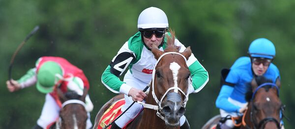 Скачки на приз президента РФ - 2017 Скачки на приз президента РФ - 2017 - Sputnik Абхазия