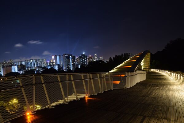 Мост Волны Хендерсона - самый высокий в Сингапуре пешеходный мост, он поднят над землей на 36 метров. В основе моста находятся семь кривых волнистых ребер из стали, поочередно возвышающихся над палубой, придавая мосту форму волны. Особенно красиво мост выглядит ночью, когда включается  подсветка, создавая множество загадочных теней – это действительно потрясающее зрелище - Sputnik Абхазия