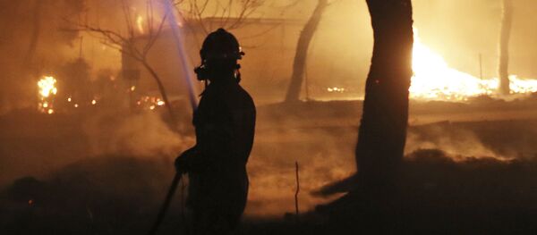 Пожарный в зоне лесного пожара к востоку от Афин Пожарный в зоне лесного пожара к востоку от Афин - Sputnik Абхазия