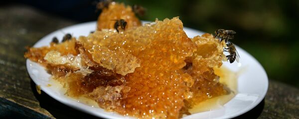 Аԥсуа шьхыцқәа рныҳәара - Sputnik Аҧсны