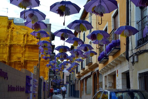 Город украшают всеми оттенками фиолетового - Sputnik Абхазия