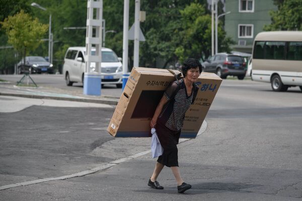 Женщина несет плазменный телевизор на улице Пхеньяна - Sputnik Абхазия