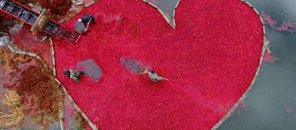 Победители конкурса имени Андрея Стенина Победители конкурса имени Андрея Стенина - Sputnik Абхазия