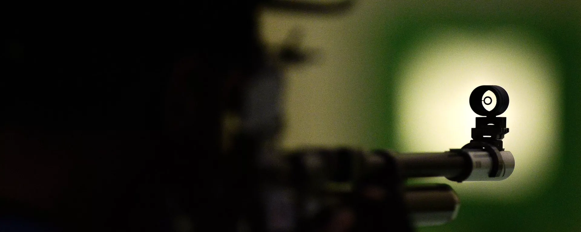 Соревнования по пулевой стрельбе из пневматической винтовки на ЕИ-2015 в Баку - Sputnik Абхазия, 1920, 09.01.2026