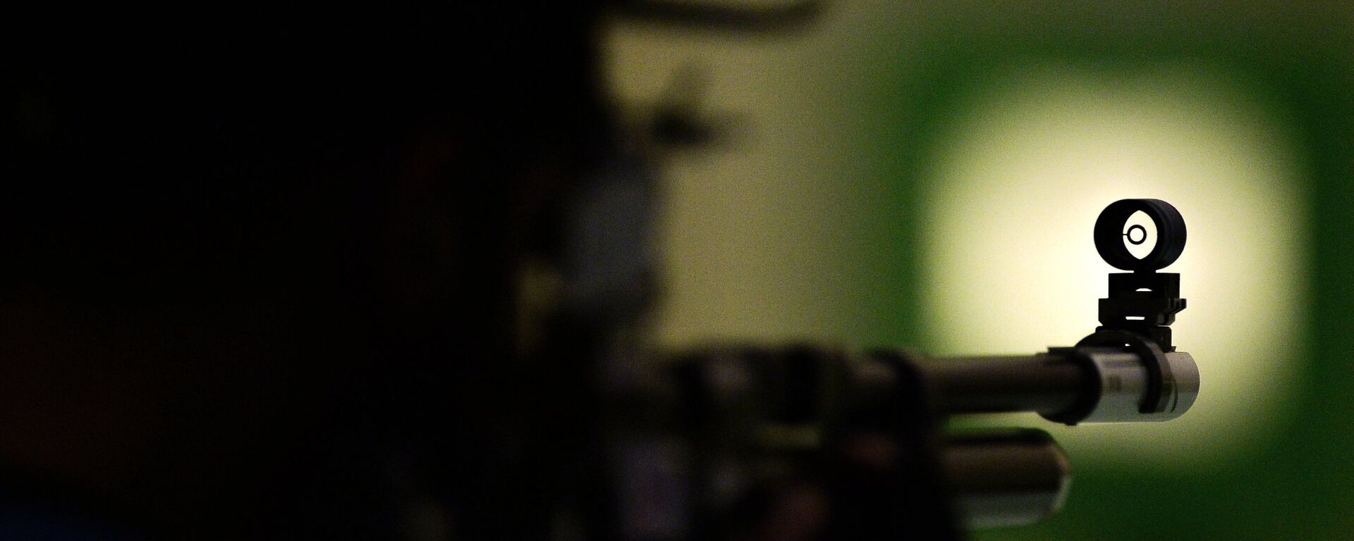 Соревнования по пулевой стрельбе из пневматической винтовки на ЕИ-2015 в Баку - Sputnik Абхазия, 1920, 09.01.2026